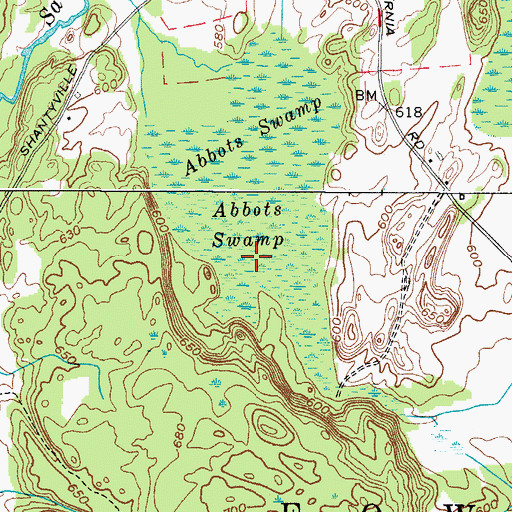 Topographic Map of Abbots Swamp, NY