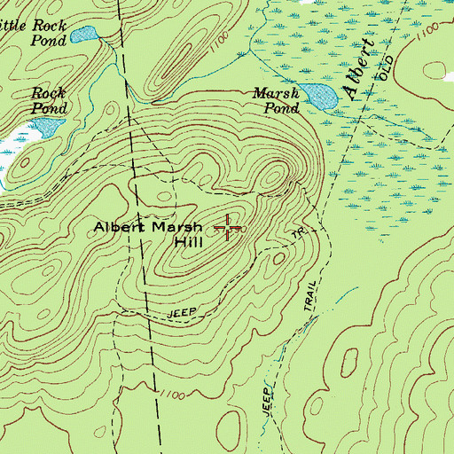 Topographic Map of Albert Marsh Hill, NY