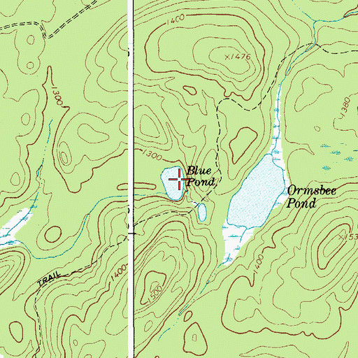 Topographic Map of Blue Pond, NY