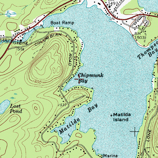 Topographic Map of Chipmunk Bay, NY