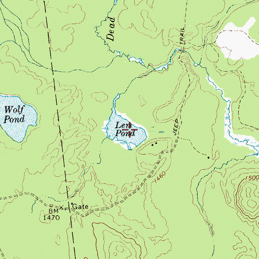 Topographic Map of Lem Pond, NY
