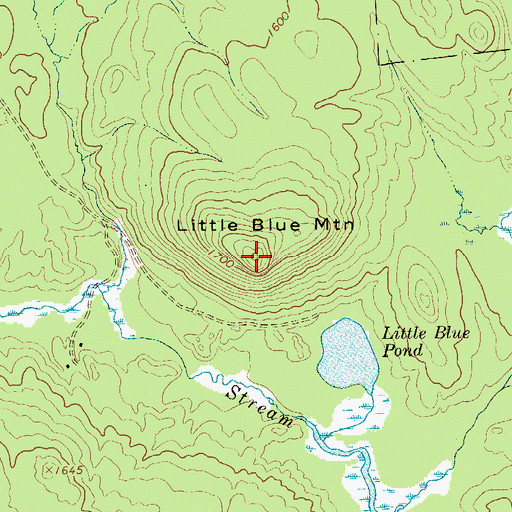 Topographic Map of Little Blue Mountain, NY