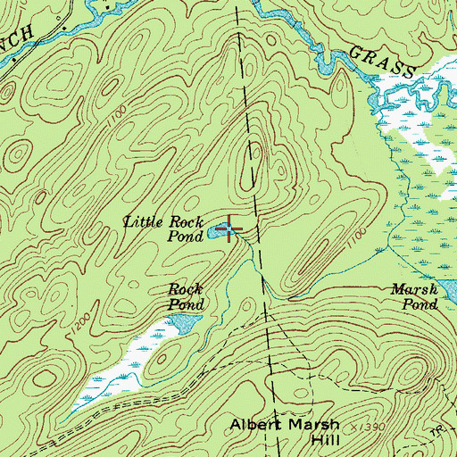 Topographic Map of Little Rock Pond, NY
