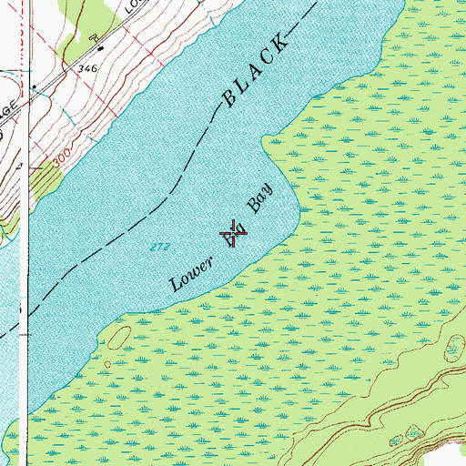 Topographic Map of Lower Big Bay, NY