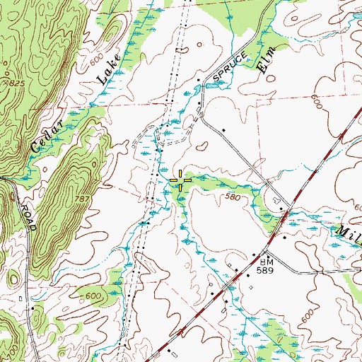 Topographic Map of Mill Brook, NY
