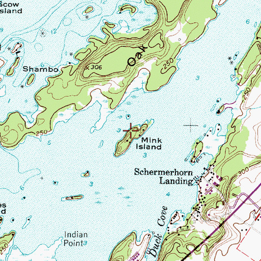 Topographic Map of Mink Island, NY