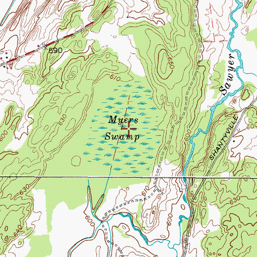 Topographic Map of Myers Swamp, NY