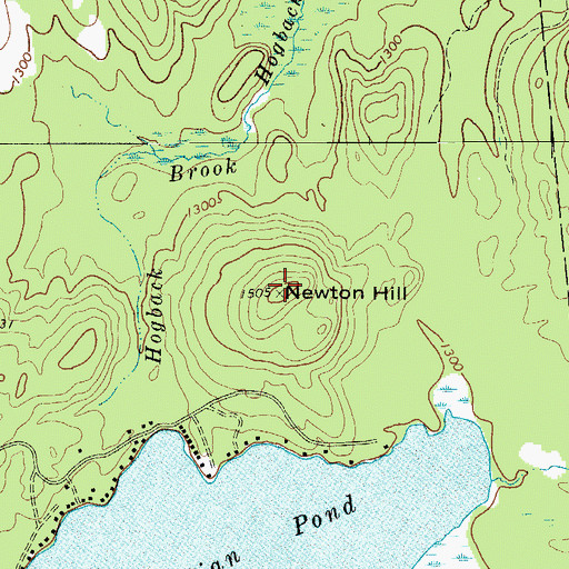 Topographic Map of Newton Hill, NY