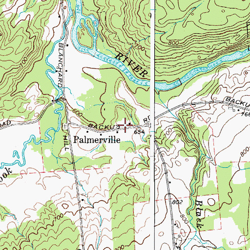 Topographic Map of Palmerville, NY