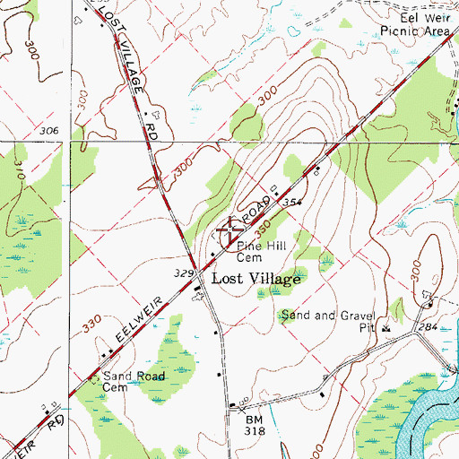 Topographic Map of Pine Hill Cemetery, NY