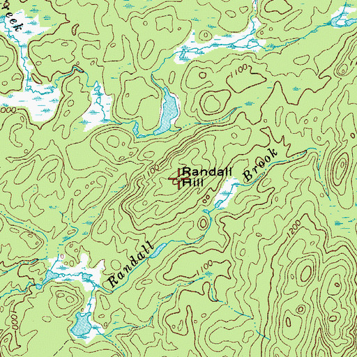 Topographic Map of Randall Hill, NY