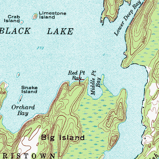 Topographic Map of Red Point Bay, NY