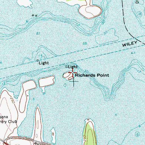 Topographic Map of Richards Point, NY