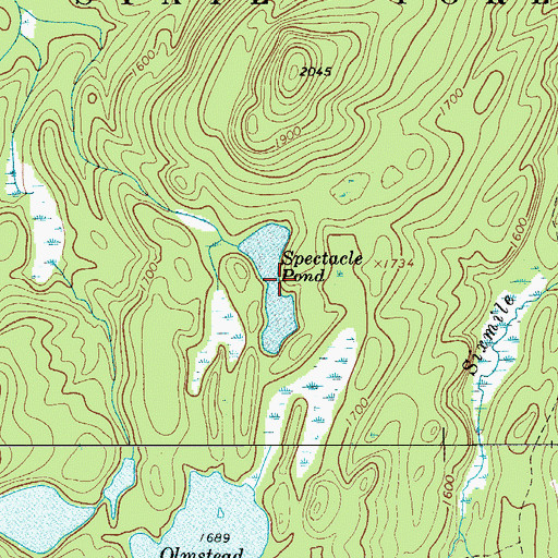 Topographic Map of Spectacle Pond, NY