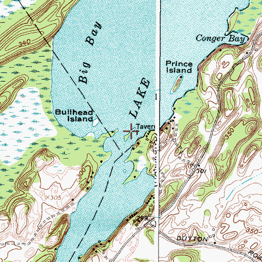 Topographic Map of Tavern Island, NY