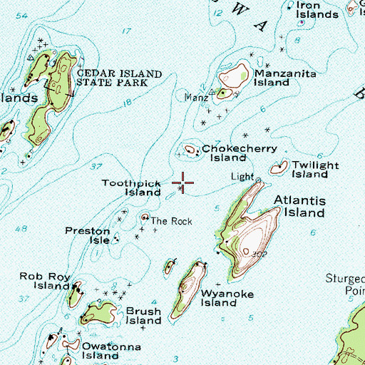 Topographic Map of Toothpick Island, NY