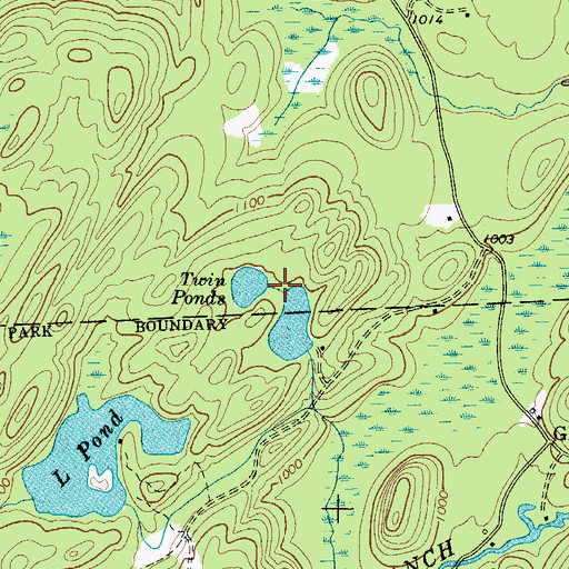 Topographic Map of Twin Ponds, NY