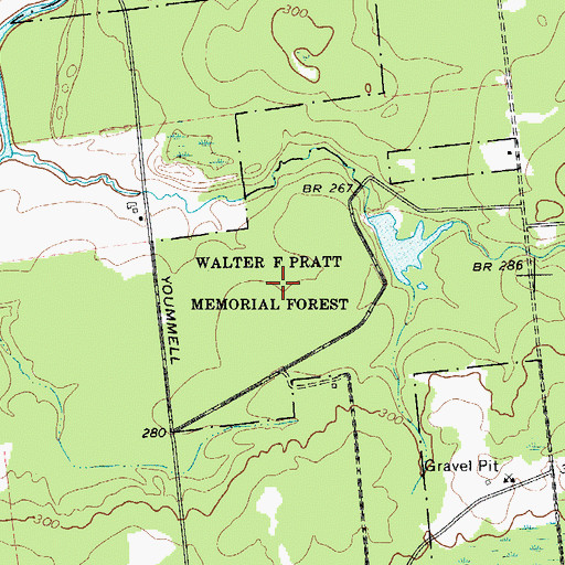 Topographic Map of Walter F Pratt Memorial Forest, NY