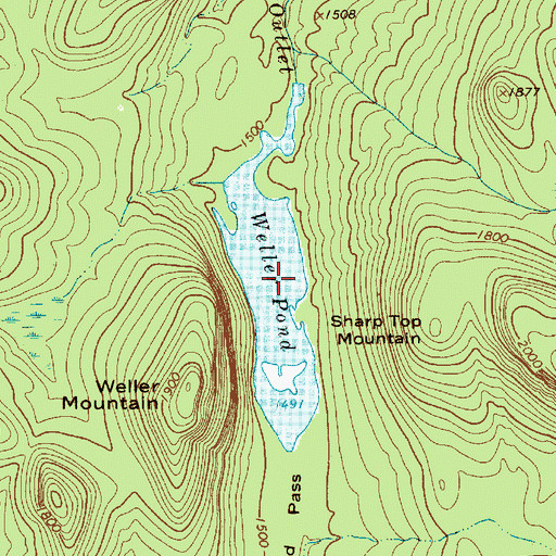 Topographic Map of Weller Pond, NY