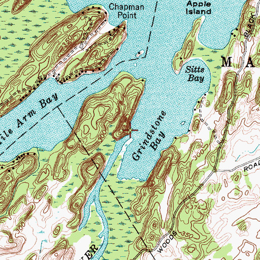 Topographic Map of Indian River, NY