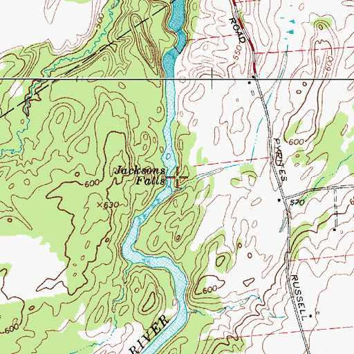 Topographic Map of Jacksons Falls, NY