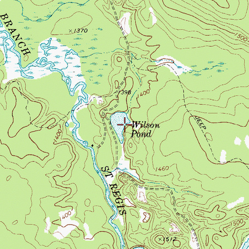 Topographic Map of Wilson Pond, NY