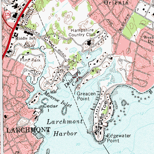 Topographic Map of Delancey Cove, NY