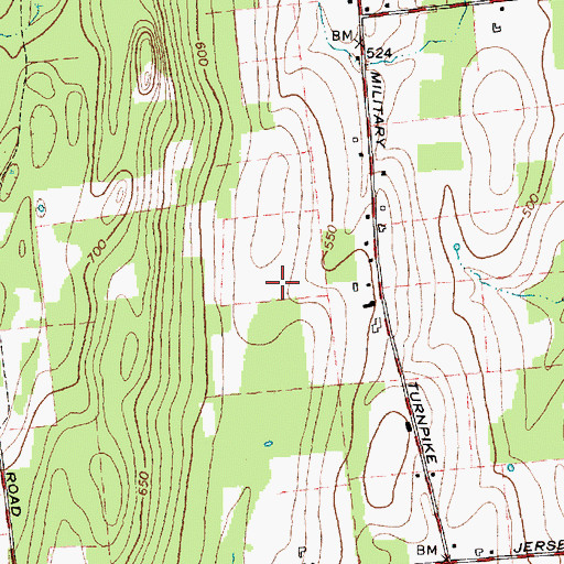 Topographic Map of Vasile Field, NY