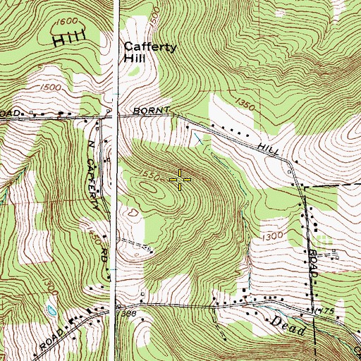 Topographic Map of WQXT-FM (Owego), NY