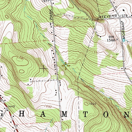 Topographic Map of Town of Binghamton, NY