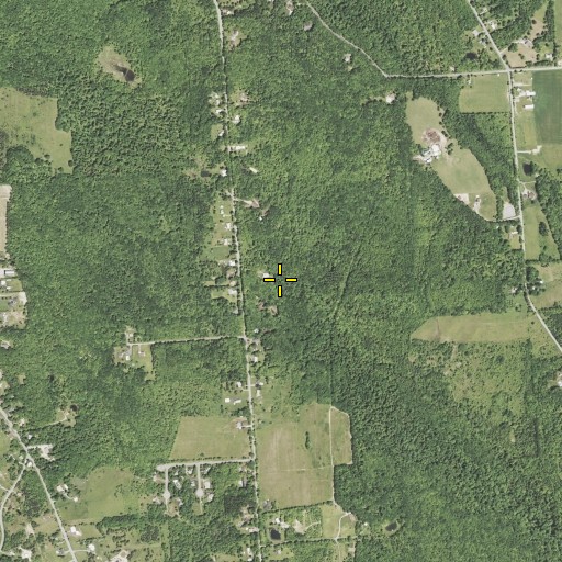 Aerial/Satellite Image of Town of Binghamton, NY