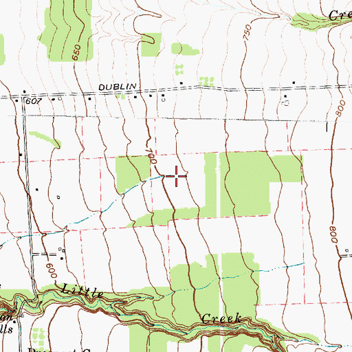 Topographic Map of Town of Ledyard, NY