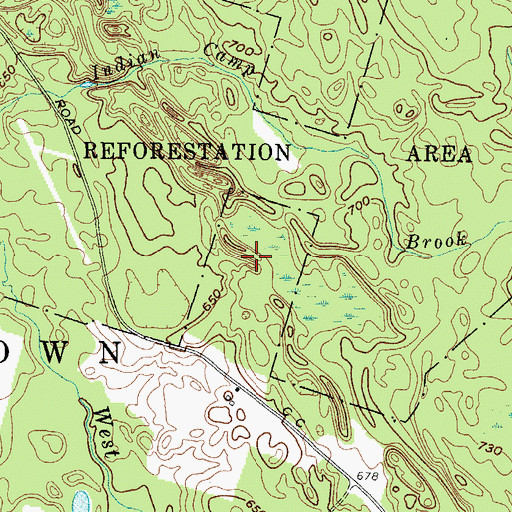 Topographic Map of Town of Williamstown, NY