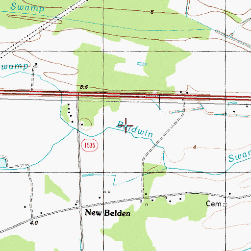 Topographic Map of Baldwin Swamp, NC
