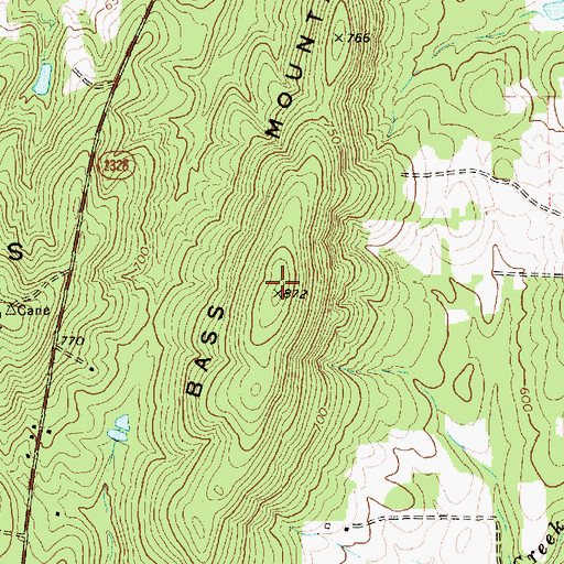 Topographic Map of Bass Mountain, NC