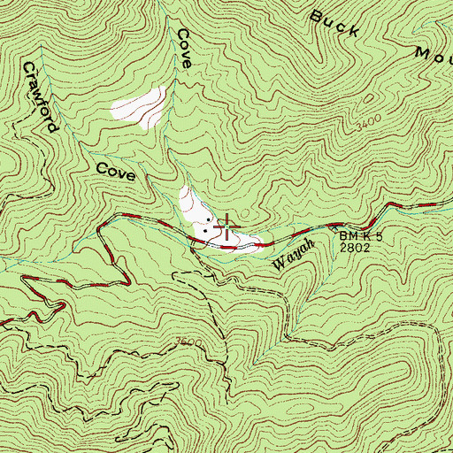 Topographic Map of Bear Cove, NC