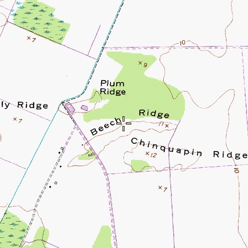 Topographic Map of Beech Ridge, NC