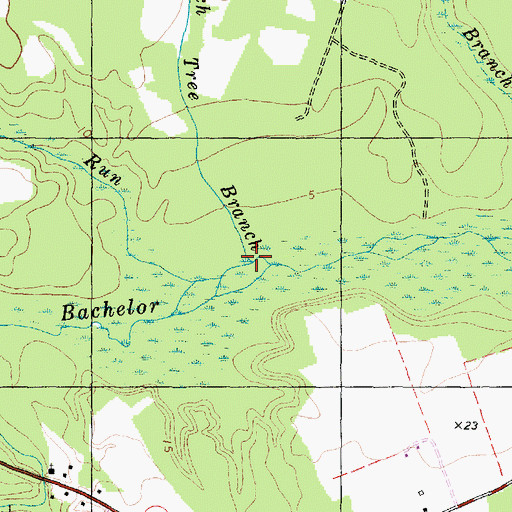 Topographic Map of Beech Tree Branch, NC