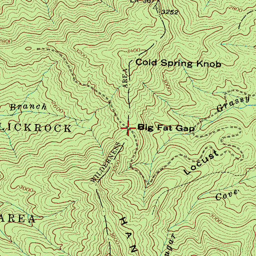 Topographic Map of Big Fat Gap, NC