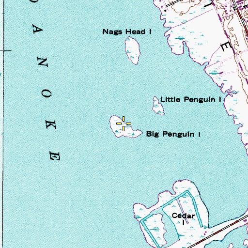 Topographic Map of Big Penguin Island, NC
