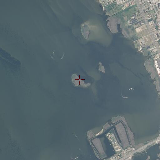 Aerial/Satellite Image of Big Penguin Island, NC
