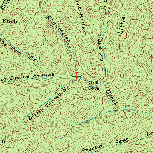 Topographic Map of Big Tommy Branch, NC