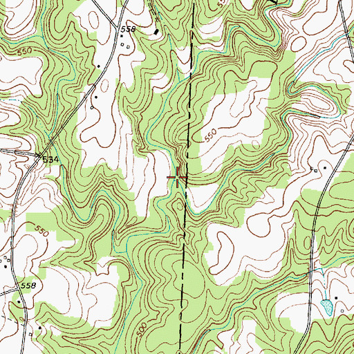 Topographic Map of Blood Run, NC