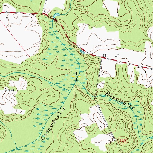 Topographic Map of Bluewater Branch, NC