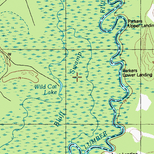 Topographic Map of Bluff Swamp, NC