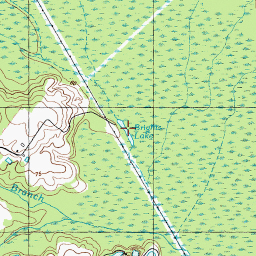 Topographic Map of Brights Lake, NC