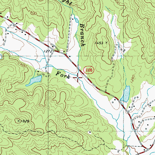 Topographic Map of Bright Branch, NC