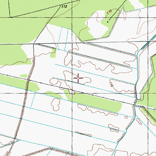 Topographic Map of Brown Morse Swamp, NC