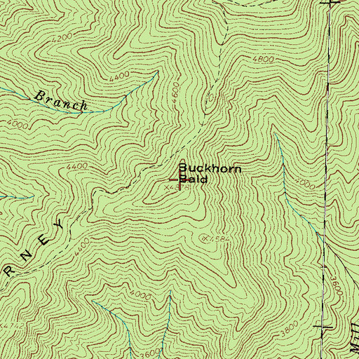 Topographic Map of Buckhorn Bald, NC