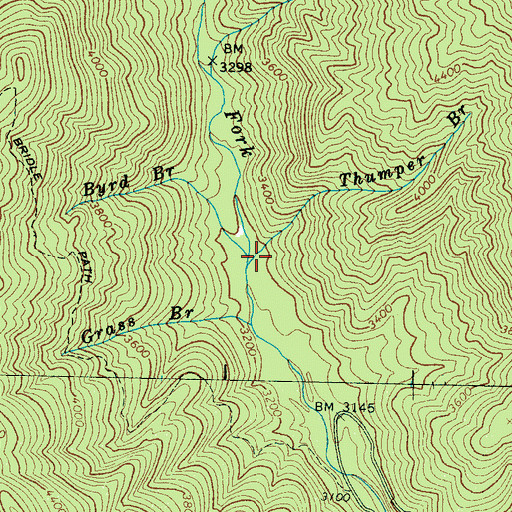 Topographic Map of Byrd Branch, NC